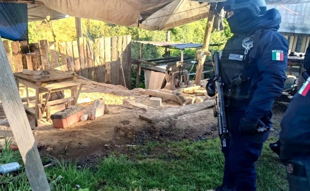 El operativo contra la tala clandestina se realizó con la participación de autoridades federales y estatales en San Juan Atzingo, Ocuilan. Foto especial