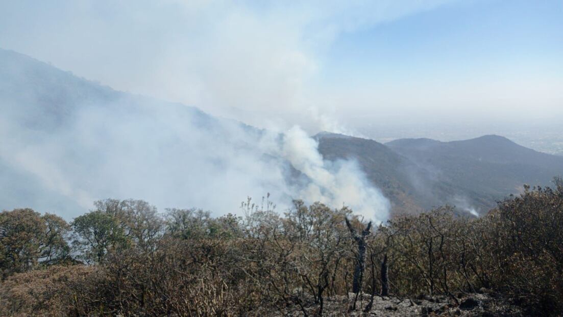 Brigadistas de la CONAFOR y Bomberos de Tepotzotlán trabajan en la contención de las llamas cerca del área conocida como "Potros". Foto Especial