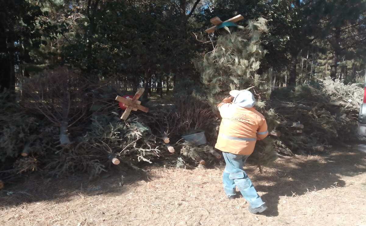 Las personas interesadas también podrán acercarse a los camiones recolectores / Foto: Especial