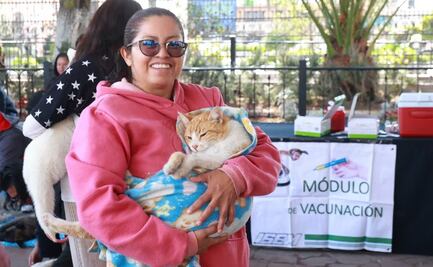 ¡Lleva a tus mascotas a vacunar! Jornada Antirrábica en Edomex será del 22 al 28 de marzo
