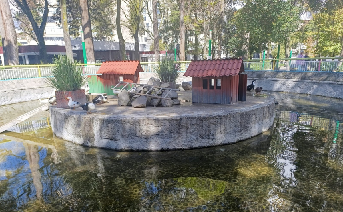 La falta de mantenimiento ha provocado el deterioro de las áreas verdes de la Alameda Central Foto: Macrina Vázquez