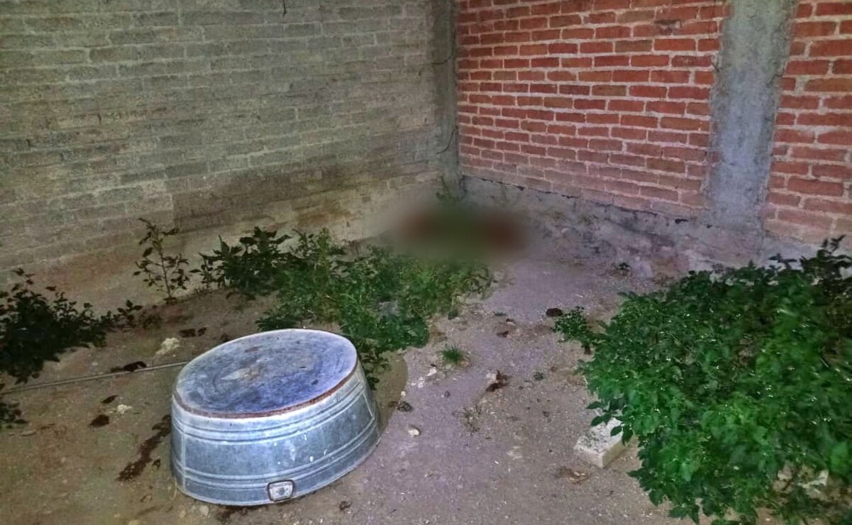 En el lugar del rescate, también fue encontrado otro canino sin vida.  Foto: PROPAEM / FB