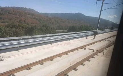 Alerta en el Tren “El Insurgente”: Suspensión de servicio por persona caminando en vías