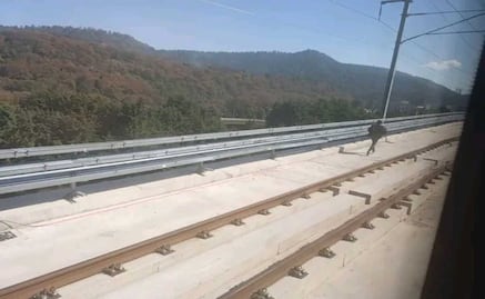 Alerta en el Tren “El Insurgente”: Suspensión de servicio por persona caminando en vías