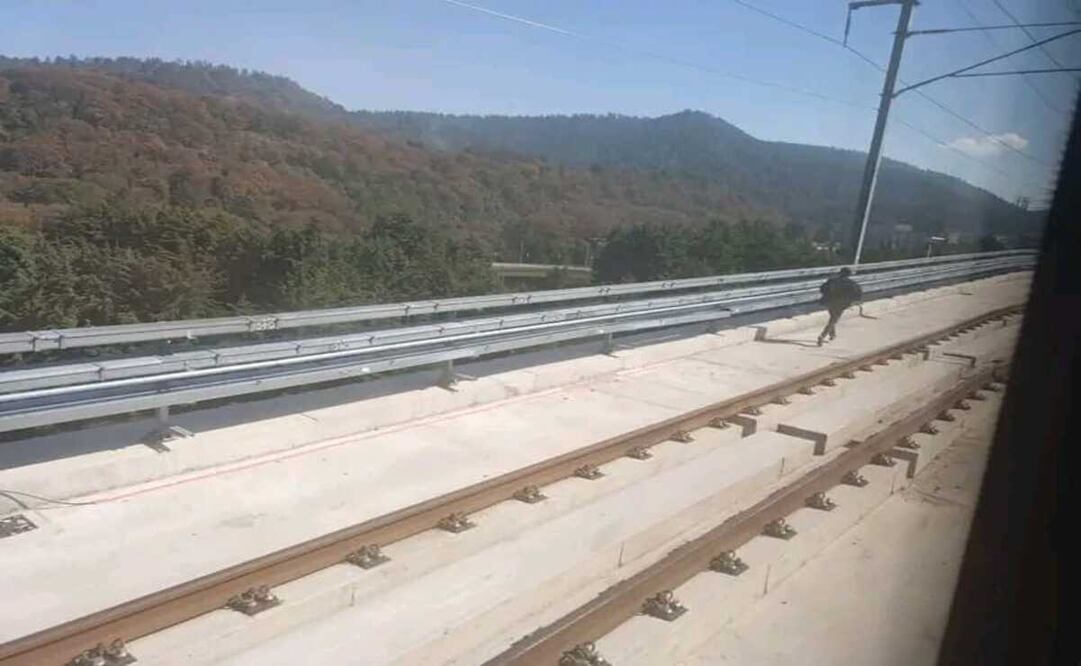 Un hombre caminaba por las vías del Tren El Insurgente / Foto Especial
