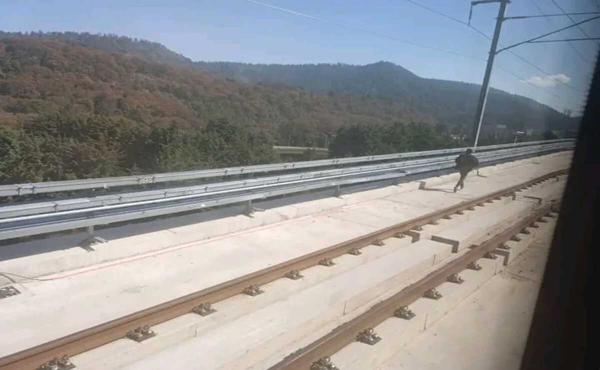 Alerta en el Tren “El Insurgente”: Suspensión de servicio por persona caminando en vías