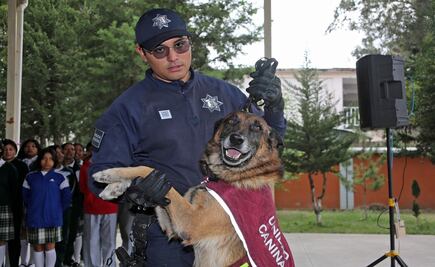 Cuatro patas por la paz: Binomios caninos fomentar la convivencia pacífica en Edomex