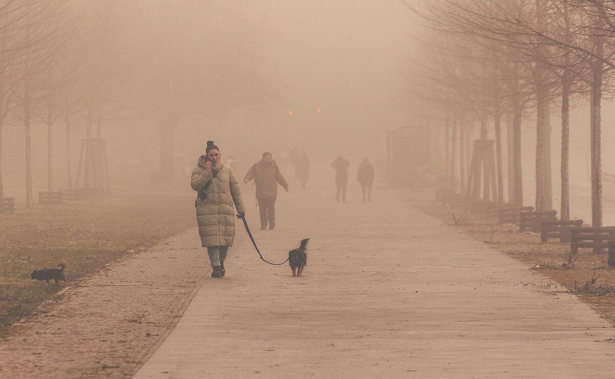 Edomex: Clima del 24 de noviembre; ambiente muy frío y bancos de niebla