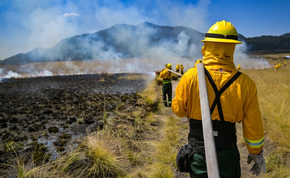 Una chispa de pirotecnia o una fogata mal apagada pueden devastar hectáreas de bosque en minutos. Foto Especial
