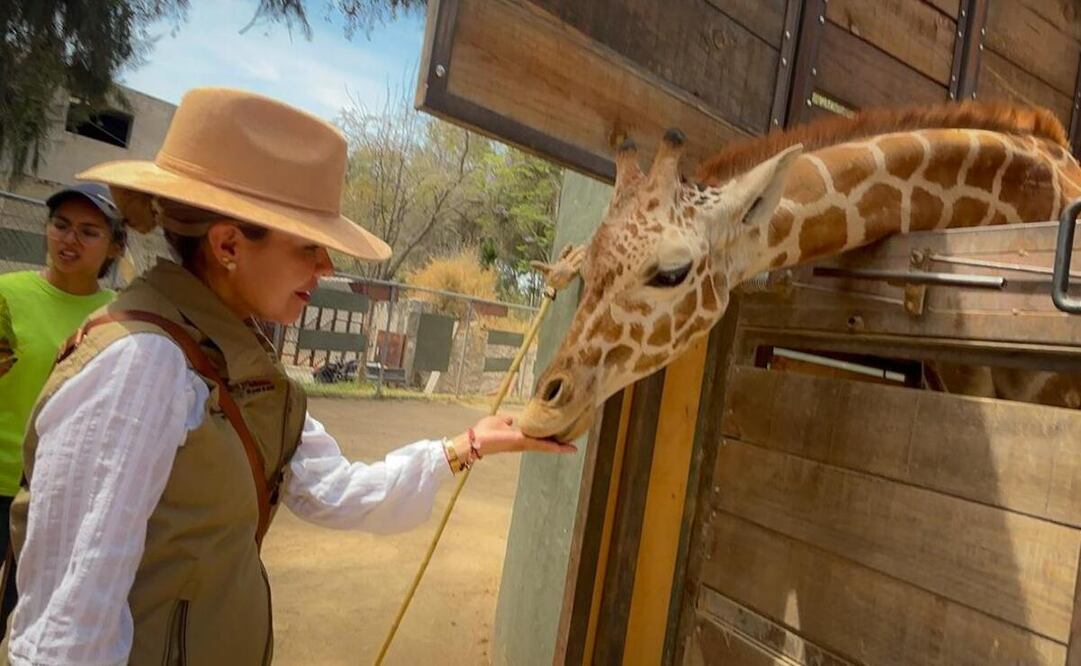 Una de las alternativas más atractivas se encuentra en el Parque Ecológico Zacango / Foto: Especial
