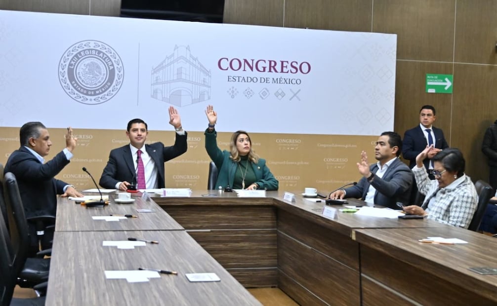 Las comisiones unidas de la 62 Legislatura avalaron por unanimidad la iniciativa para reformar las facultades de la CFE a nivel federal. Foto Especial
