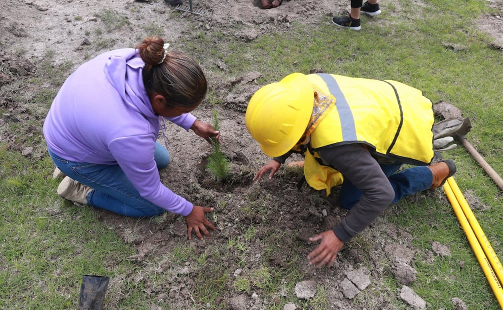 Habitantes y personal de PROBOSQUE inician de manera oficial la temporada de plantación en las zonas boscosas del Edomex. Foto Alejandro Vargas / El Universal