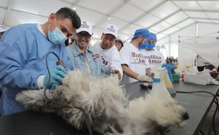 Ecatepec rompe récord con 1,200 esterilizaciones gratuitas para 'lomitos' y 'michis'