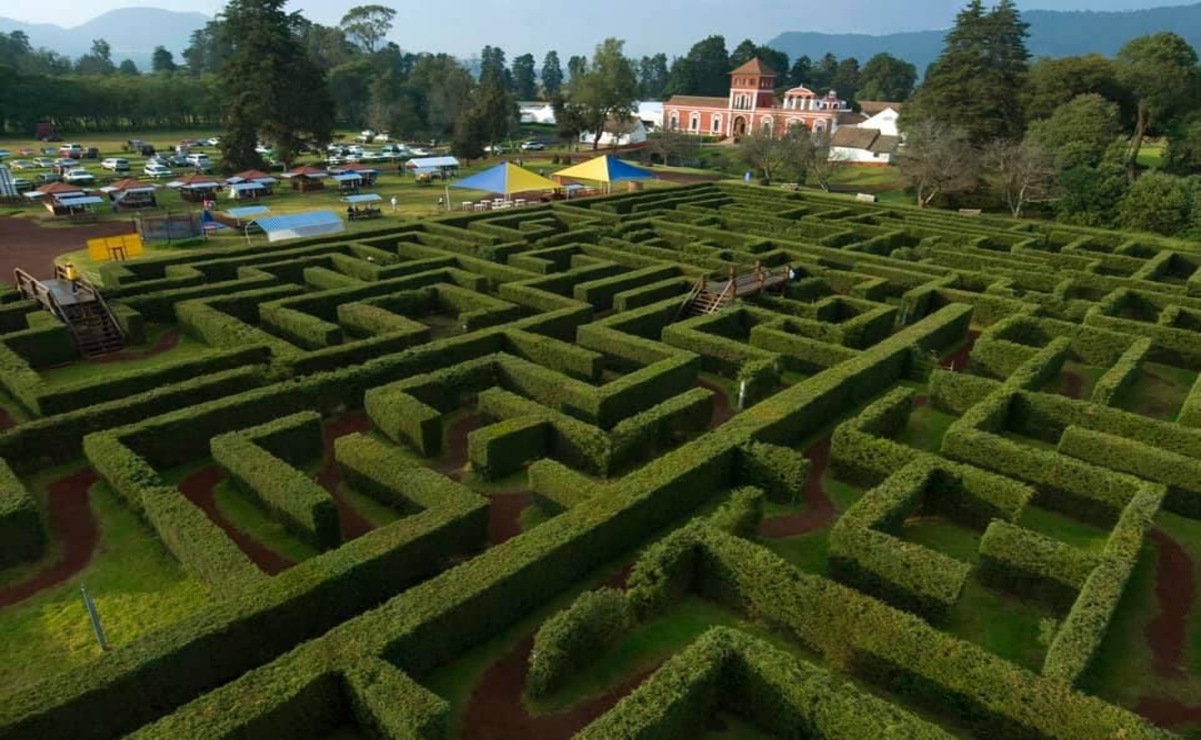 En la Hacienda Panoaya se puede recorrer el laberinto inglés de 5 mil metros cuadrados / Foto Especial