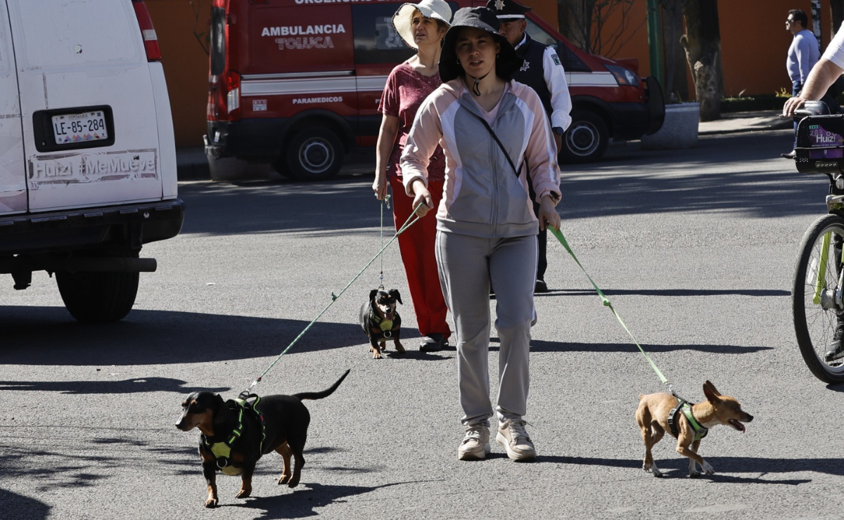 Más que un paseo, una aventura de 4 patas. ¡Ven a vivir la magia canina en Paseo Colón! Foto: Jorge Alvarado