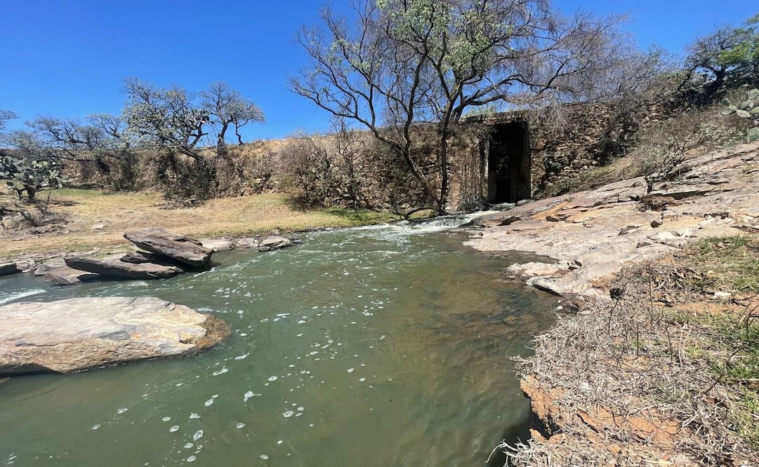 El Magueyal es un santuario donde el agua fluye directamente desde la tierra, cristalina y libre de cualquier intervención humana. Foto: Michelle Sánchez / El Universal Estado de México