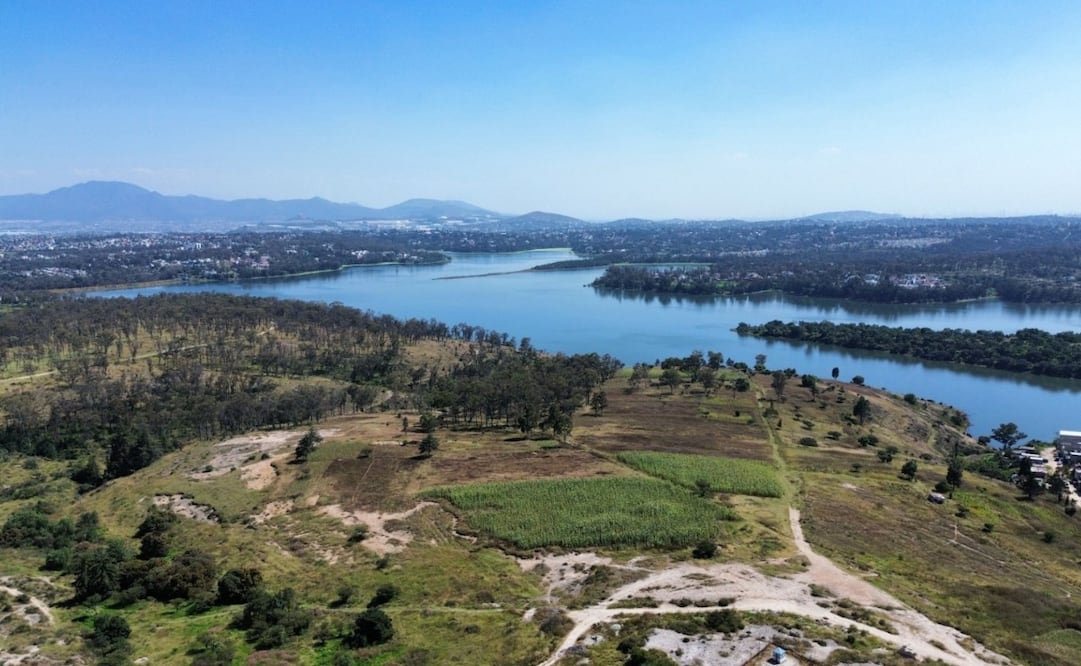 Descargas de aguas negras y crecimiento urbano descontrolado mantienen al Lago de Guadalupe en una situación de contaminación severa. Foto Arturo Contreras / El Universal