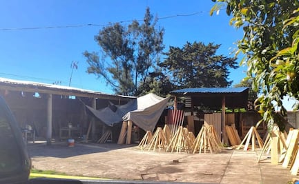 Clausuran seis aserraderos por tala clandestina en Ocuilan