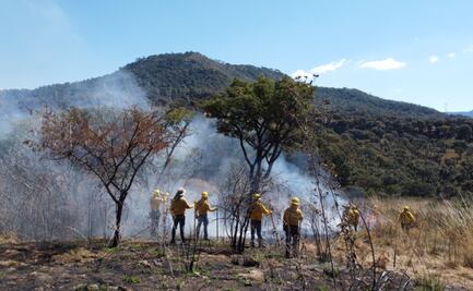 Vocación de alto riesgo: Jóvenes se suman a Probosque para proteger los bosques del fuego