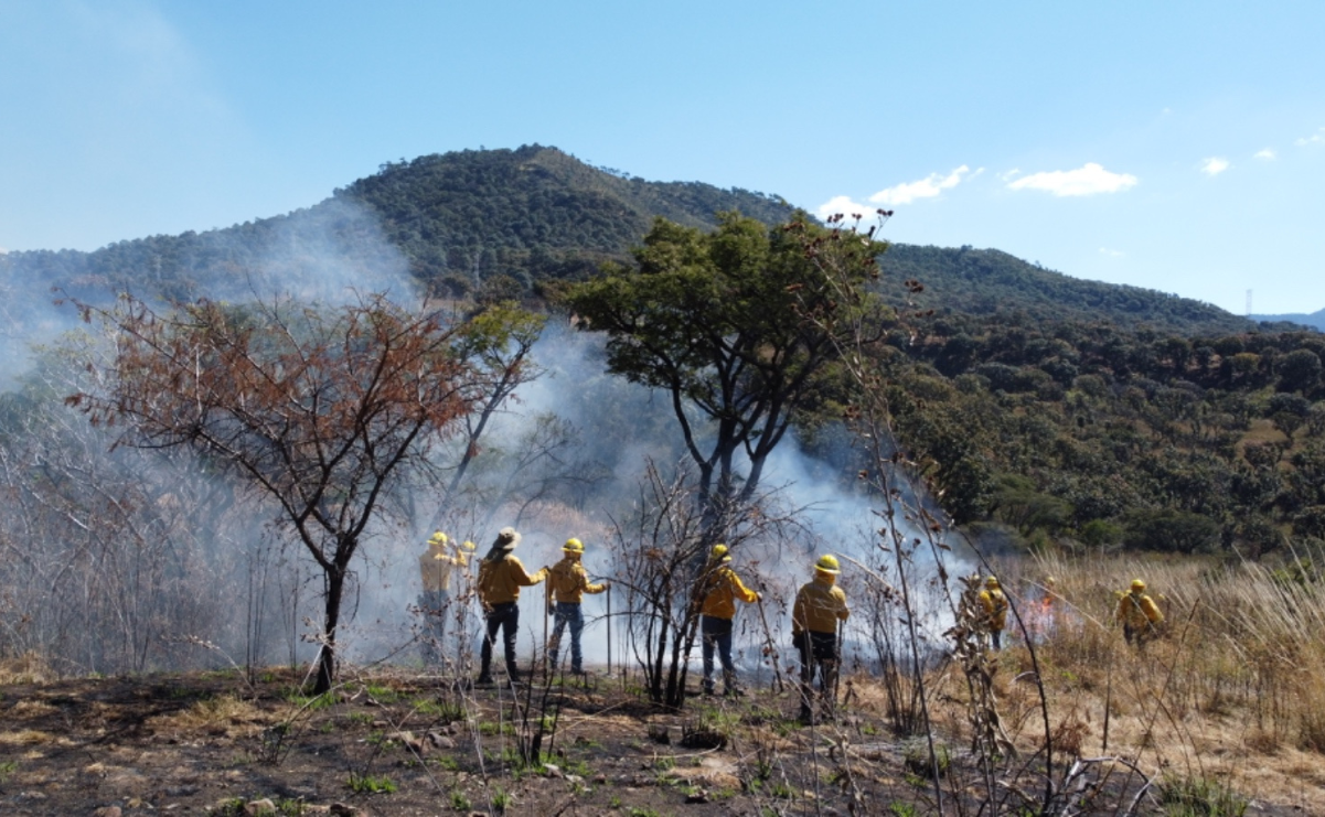 Un brigadista veterano comparte su experiencia con la nueva generación de protectores de bosques en Probosque. Foto: Especial