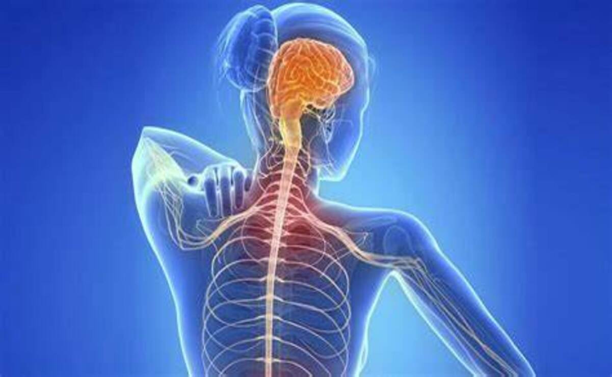 Esta enfermedad afecta directamente la denominada sustancia blanca del cerebro / Foto Especial
