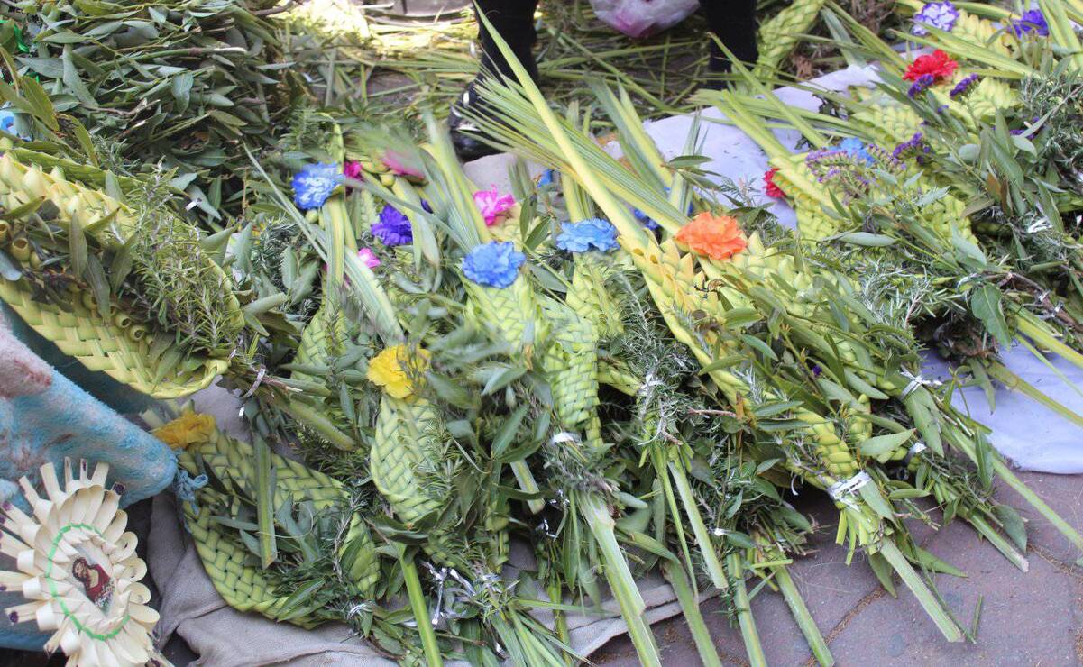 ¿Qué significan las palmas del Domingo de Ramos?  Conoce su origen y simbolismo