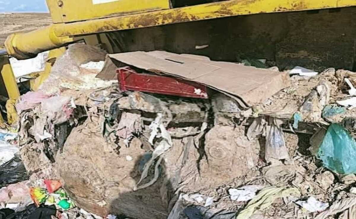 Desgarrador hallazgo: Feto de 5 meses abandonado en basurero de Zinacantepec