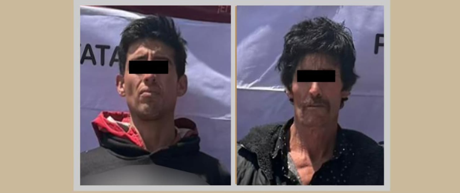 En una camioneta eran transportados alrededor de 475 polines de madera fresca de oyamel. Foto. Especial