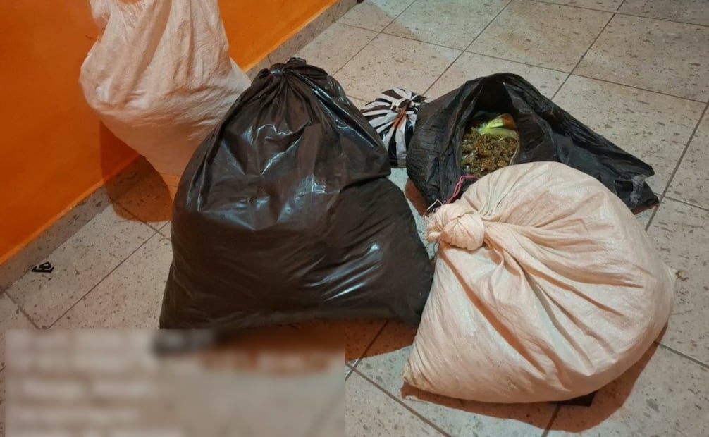 Durante el cateo fueron asegurados tres costales con hierba seca de características similares a la marihuana. Foto especial