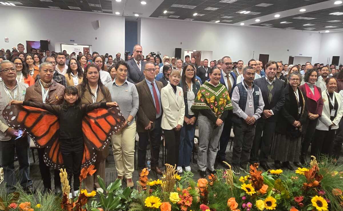 Cambio Climático, deforestación ilegal, plaguicidas e insecticidas, factores de riesgo de la Monarca