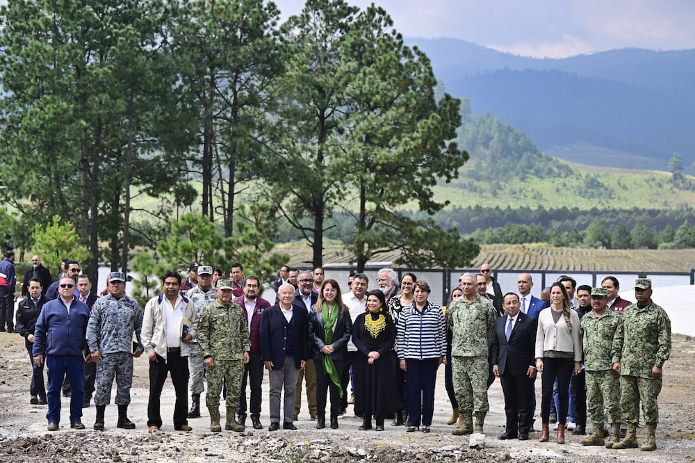 Lidera gobernadora Delfina Gómez estrategia contra la tala ilegal de árboles en alianza con Morelos y CDMX. Foto Especial