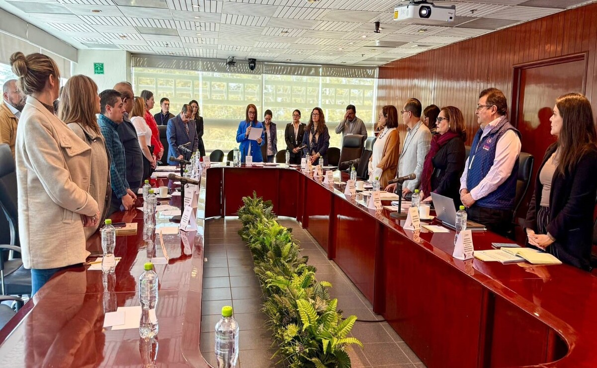 La labor principal de la coordinadora o coordinador será brindar apoyo y colaborar en las funciones de la organización electoral. Foto: Especial