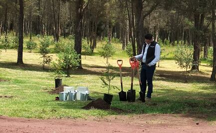 Edomex fortalece peritajes ambientales contra la tala ilegal e incendios