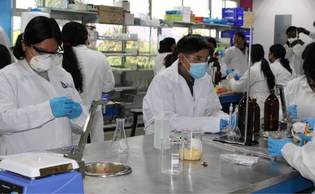 Futuros científicos: Estudiantes y profesores universitarios se preparan para el LXVIII Congreso Nacional de Física Foto: Especial