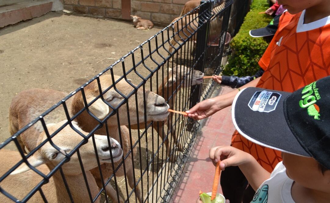 La promoción aplica en taquilla y estará vigente solo este fin de semana / Foto: Especial.