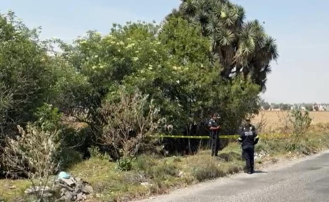 El cuerpo de un hombre en avanzado estado de descomposición fue localizado en una zanja de San Felipe Tlalmimilolpan. Foto: Especial