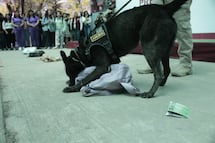 El oficial canino Anubis se retira tras 9 años de servicio en Tlalnepantla