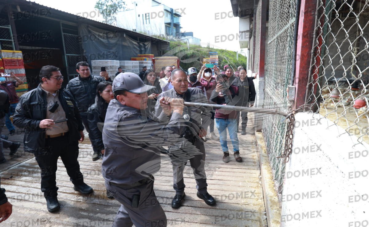 La granja era uno de los establecimientos comerciales incautados el pasado 21 de julio / Foto Alejandro Vargas