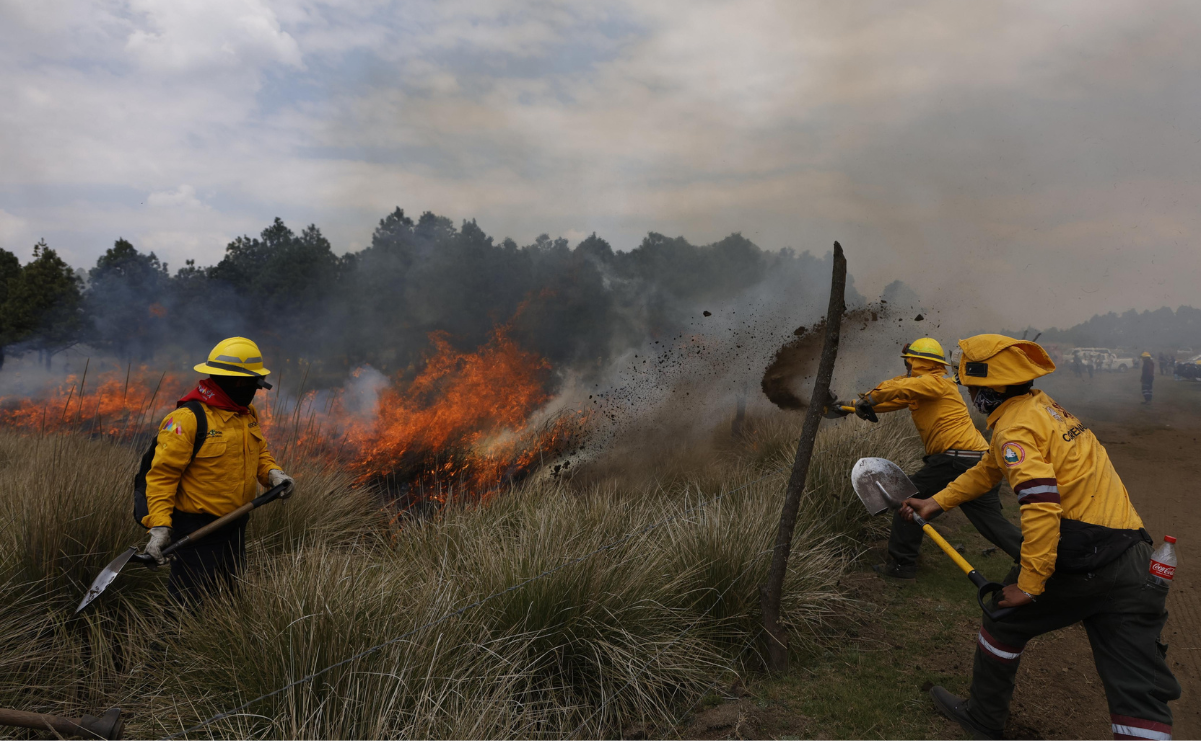 El Estado de México enfrenta cuatro incendios activos, reporta la Protectora de Bosques. Foto: Arturo Hernández