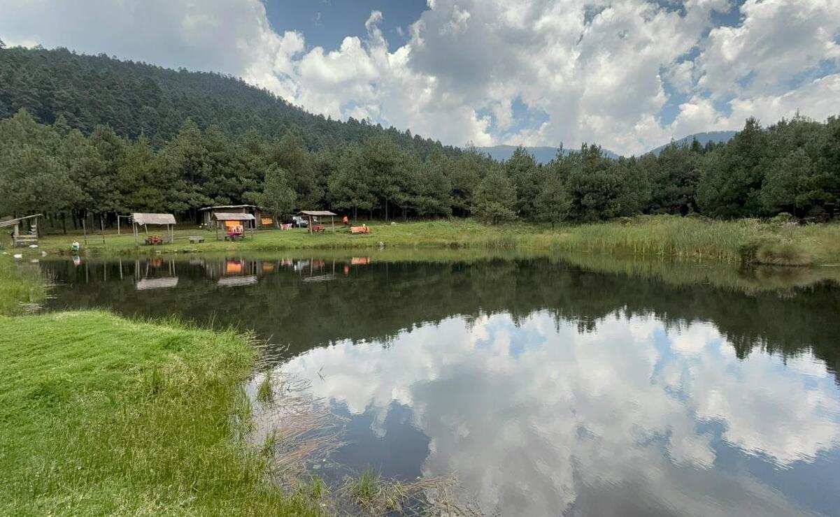 Puedes disfrutar de un día de campo / Foto Archivo El Universal