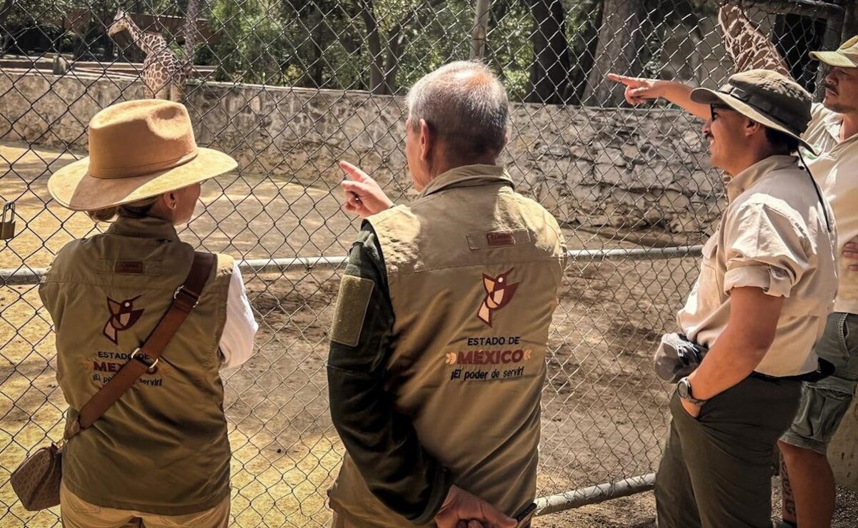 Estos aprendizajes ayudarán a mejorar las prácticas en los parques del Edomex. Foto: Especial