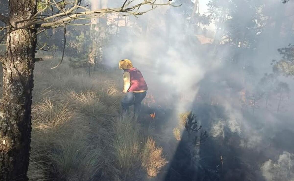 En cinco meses se han reportado 303 incendios en pastizales / Foto Alejandro Vargas