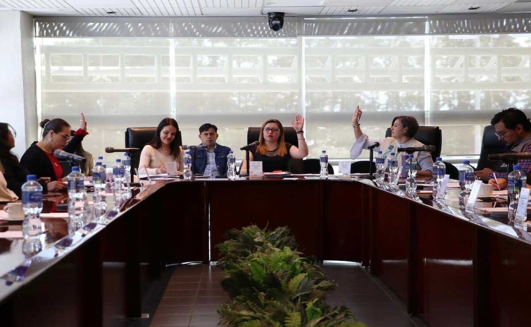 Cuatro denuncias se presentaron por candidatas magistradas / Foto: Especial