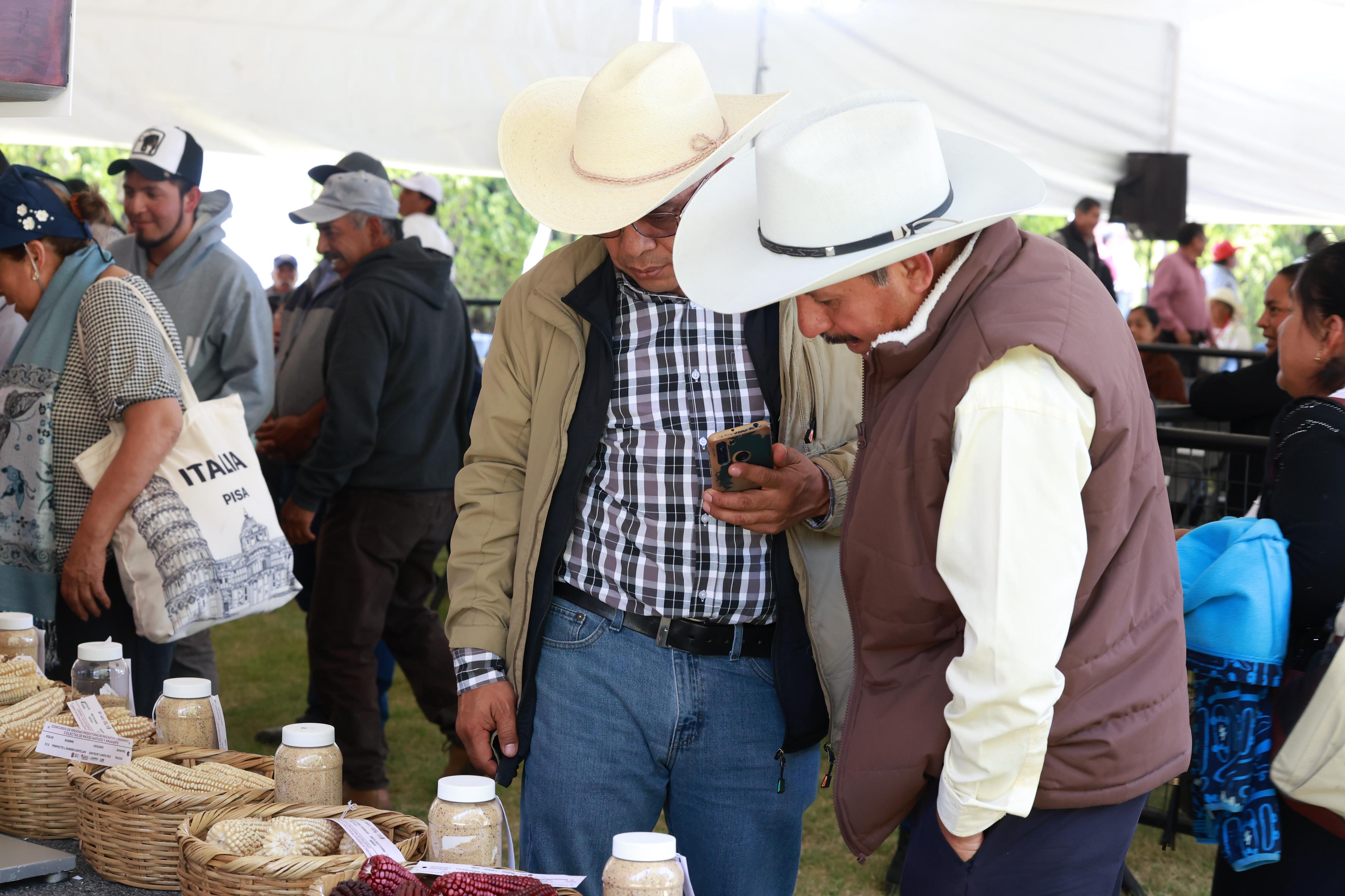La gobernadora del Edomex premio a 60 productores mexiquenses, de los cuales 30 se dedican al cultivo de de maíz y 30 de amaranto. Foto: Alejandro Vargas / El Universal Estado de México