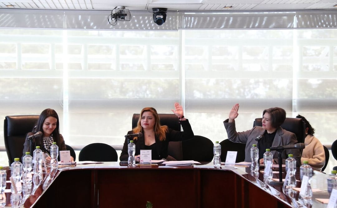 Dos de las quejas sustanciadas han sido remitidas al Tribunal Electoral del Estado de México / Foto: Especial