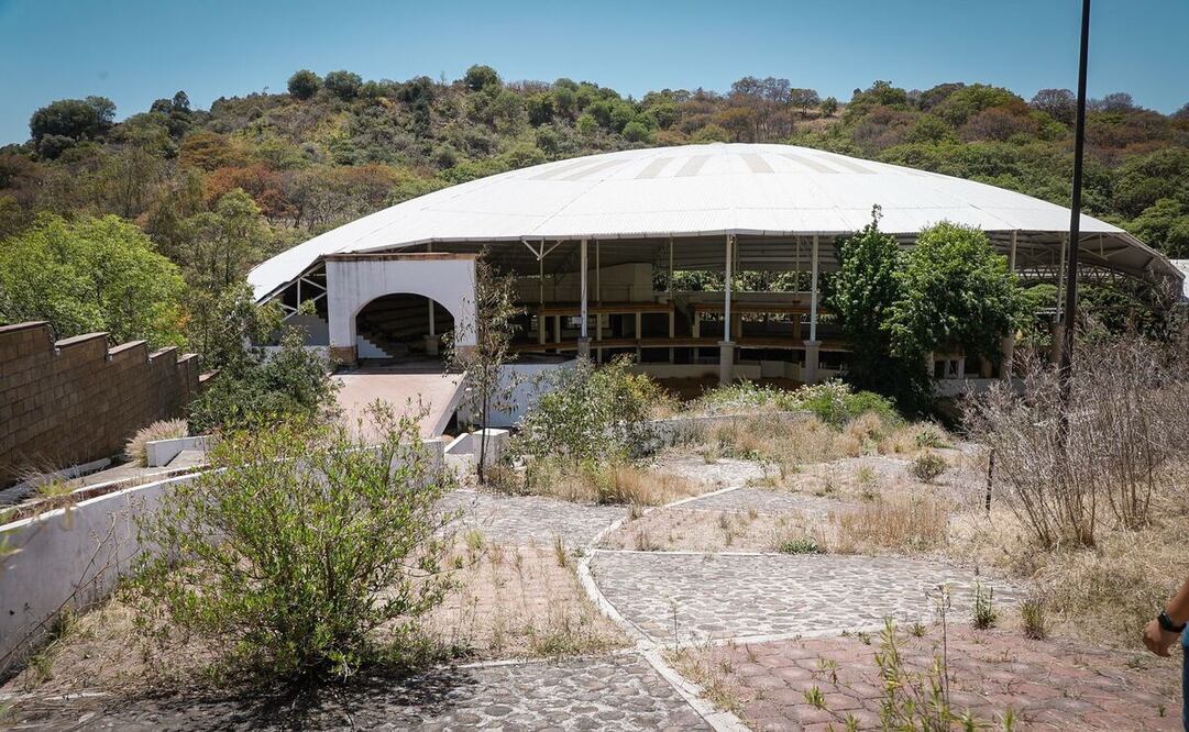 La universidad estará en lo que fue el rancho de Los Tres García / Foto: Especial