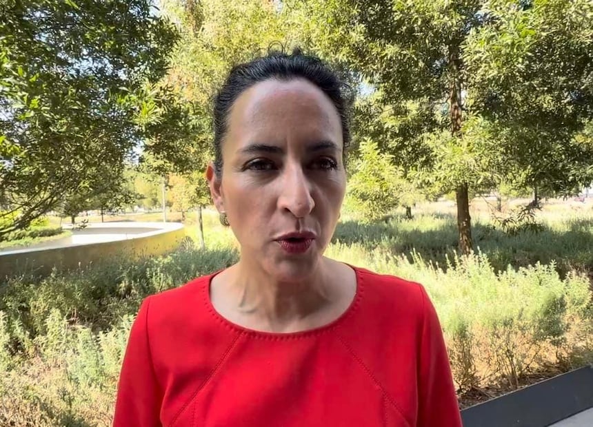 Ana Yurixi Leyva (PT) celebra que se mantengan las diputaciones plurinominales locales y se reduzca el financiamiento público. Foto Especial