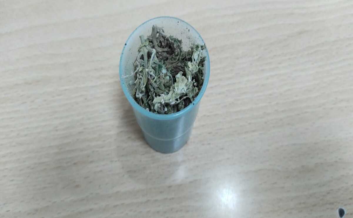 A los detenidos se les localizó dos recipientes de plástico, en cuyo interior se halló marihuana. Foto: Especial