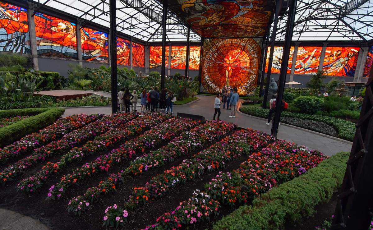 De ser un mercado de abastos a convertirse en un oasis de arte y naturaleza: el Cosmovitral es un destino imperdible en el corazón de Toluca. Foto: Arturo Hernández