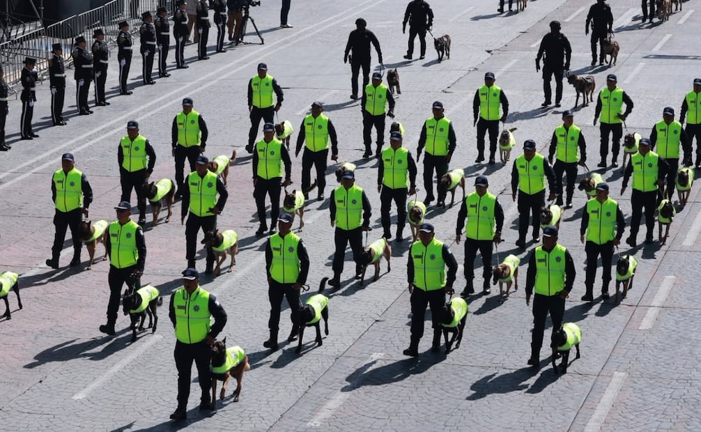 Caninos también desfilan en la conmemoración de la independencia en Toluca. Foto Alejandro Vargas / El Universal